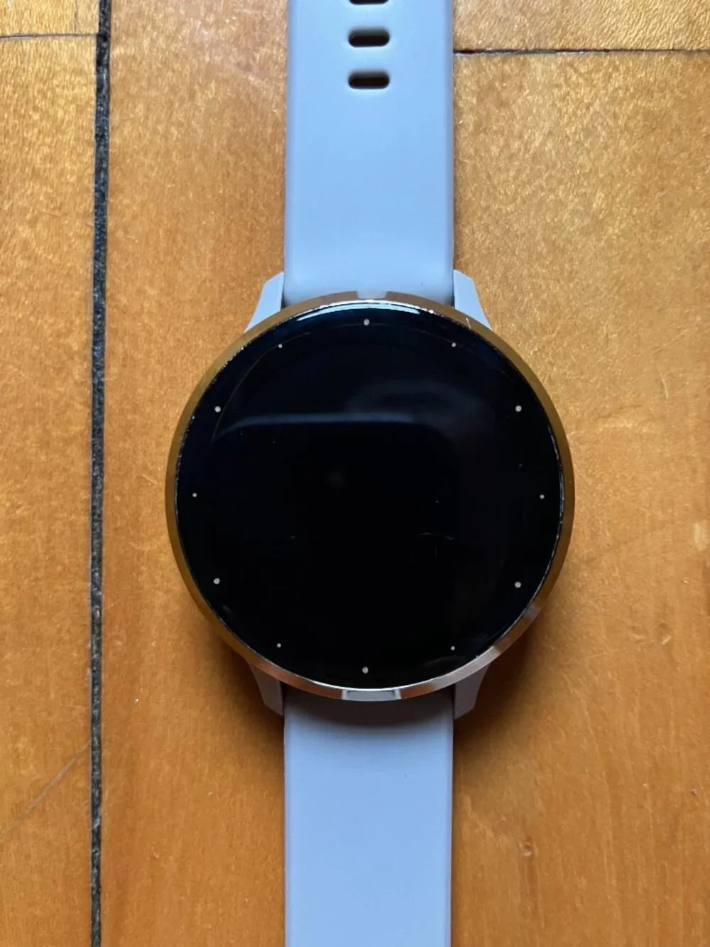Garmin venu 3S grey